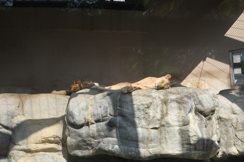 20091031-02.JPG