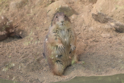 20091031-12.JPG
