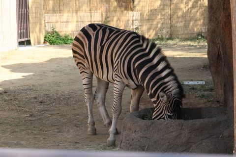 20091031-18.JPG