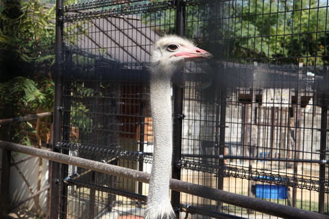 20091031-21.JPG