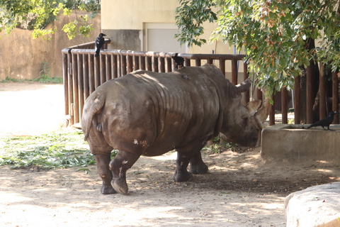 20091031-23.JPG