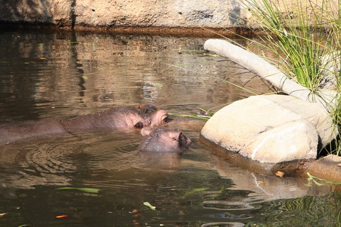 20091031-24.JPG