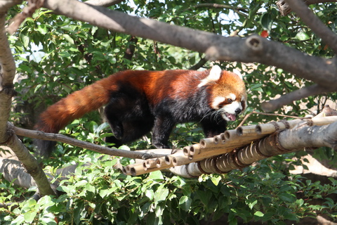20091031-27.JPG
