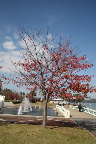 20091123-194.jpg