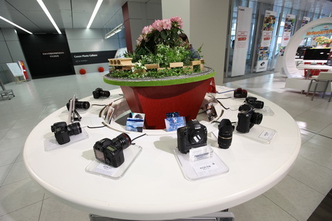 20110225-02.JPG