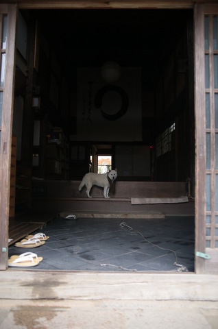 20131117-03.JPG